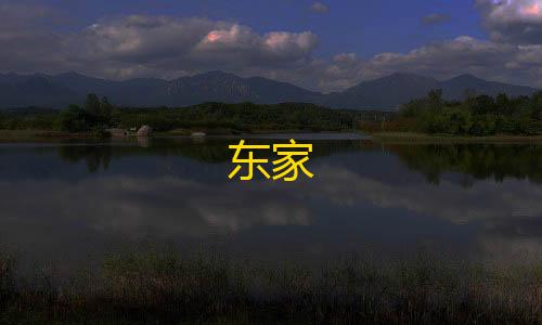 和平精英ios免费开科技东家